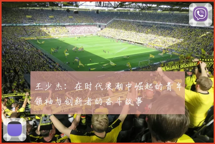 王少杰：在时代浪潮中崛起的青年领袖与创新者的奋斗故事